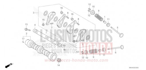 ARBRE A CAMES/SOUPAPE NC750XDP de 2023